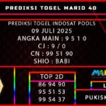 9 idt