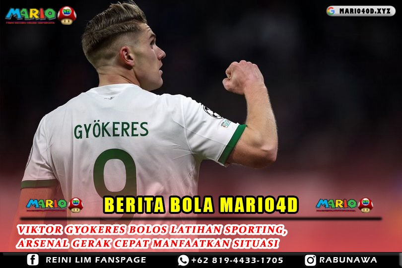 BERITA MARIO 1