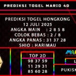 PREDIKSI TOGEL HONGKONG POOLS 12 JULI 2025