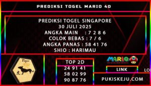 PREDIKSI TOGEL SINGAPORE POOLS 30 JULI 2025