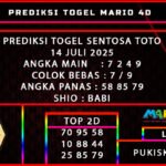 PREDIKSI TOGEL SENTOSA TOTO POOLS 14 JULI 2025