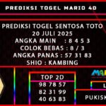 PREDIKSI TOGEL SENTOSA TOTO POOLS 20 JULI 2025