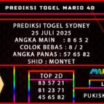 PREDIKSI TOGEL SYDNEY POOLS 25 JULI 2025