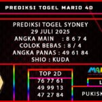 PREDIKSI TOGEL SYDNEY POOLS 29 JULI 2025